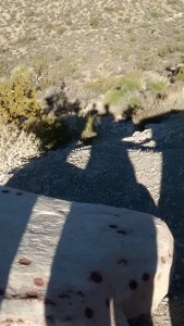 redrock shadow