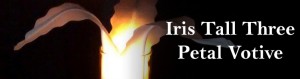 blogbanner3petal