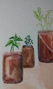 herbs watercolor